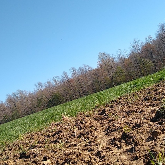 Meet your Posher, Aaron - Picture 1 of 1